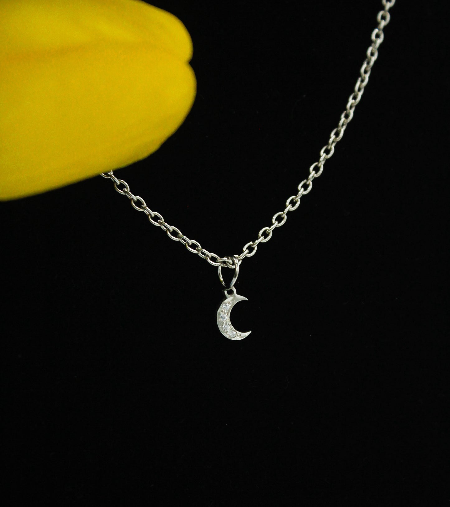Crescent Charm Necklace.