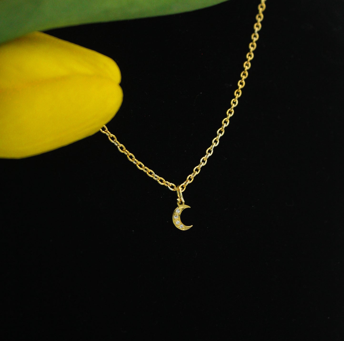 Crescent Charm Necklace.